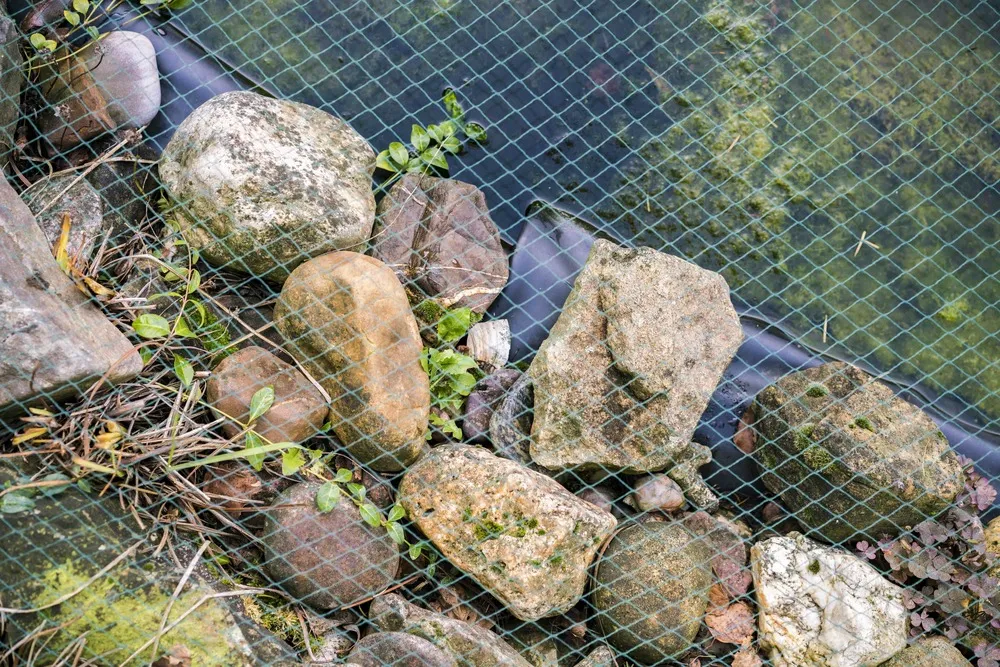 Filet de bassin 5m x 12m filet à feuilles, filet de protection contre les feuilles, robuste